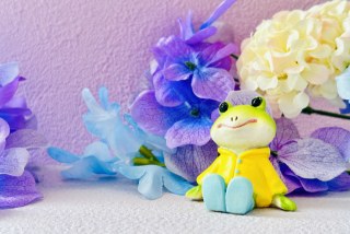 6月、雨の日を楽しもう!